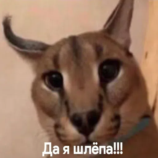 шлёпанцы - Sticker 23
