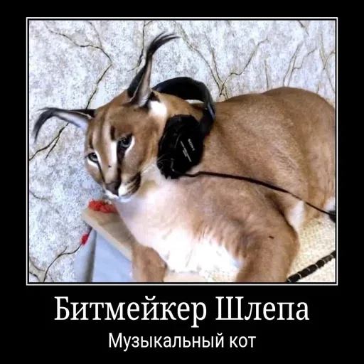 шлёпанцы - Sticker 15