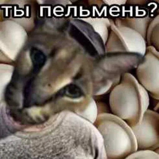шлёпанцы - Sticker 26