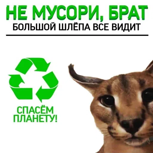 шлёпанцы - Sticker 21