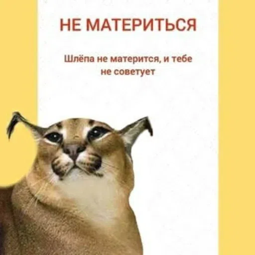 шлёпанцы - Sticker 16