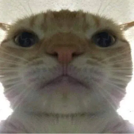 Cat2 - Sticker 9