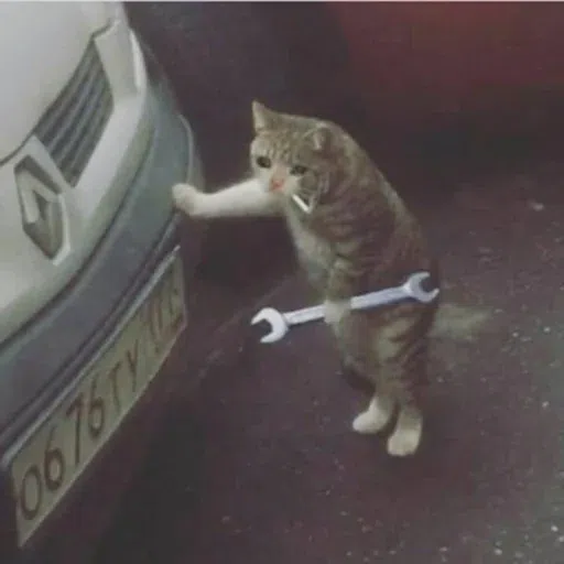 Cat2 - Sticker 13