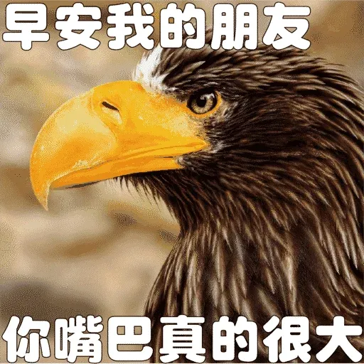早安我的朋友 - Sticker 9