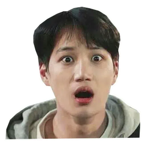 /EXO1 - Sticker 13