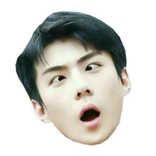 /EXO1 - Sticker 28