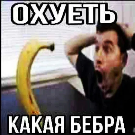 да - Sticker 11