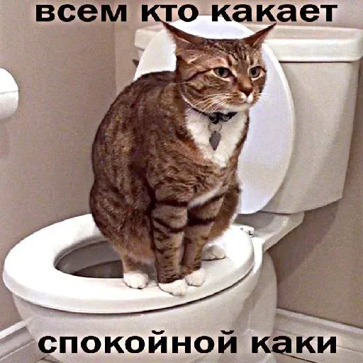 да - Sticker 9