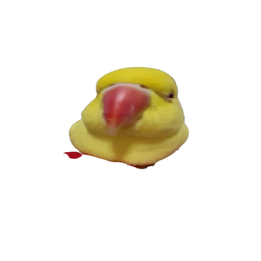 sunnybaby - Sticker 15