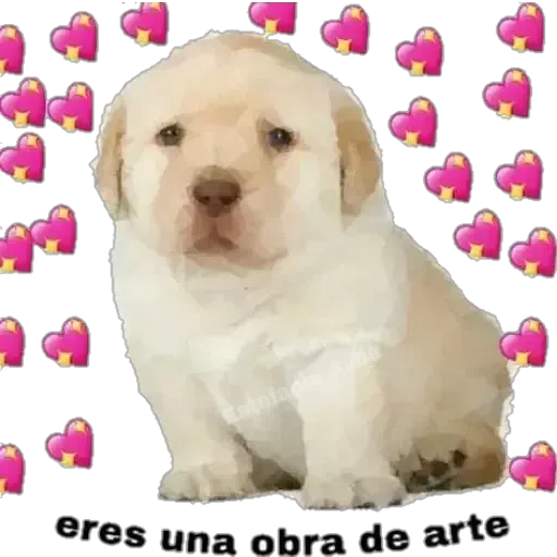 anna - Sticker 28