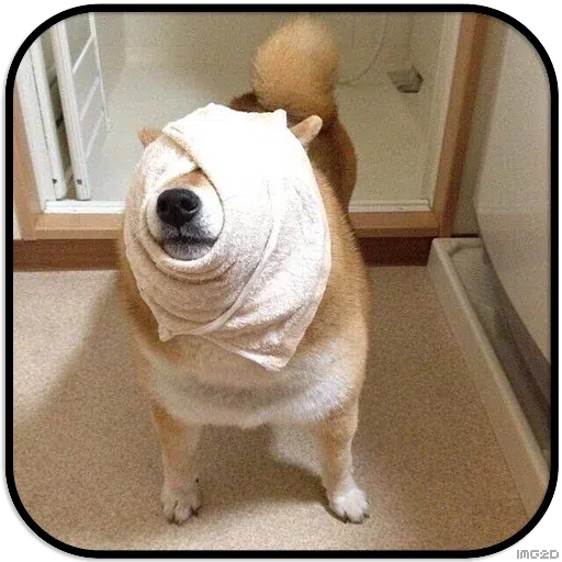 Doggo - Sticker 9
