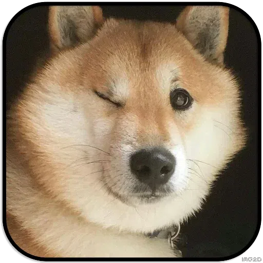 Doggo - Sticker 27