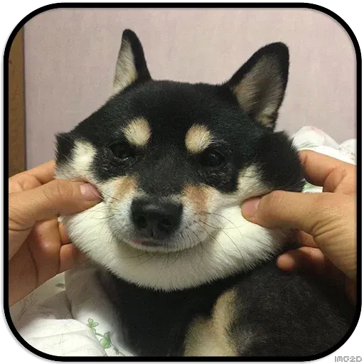 Doggo - Sticker 11