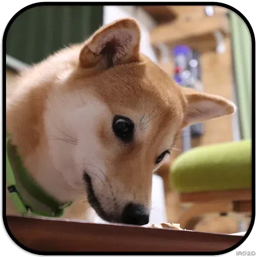 Doggo - Sticker 12