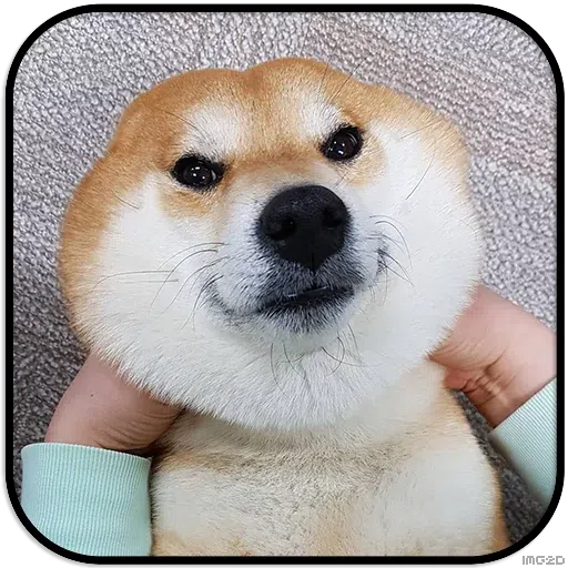 Doggo - Sticker 13