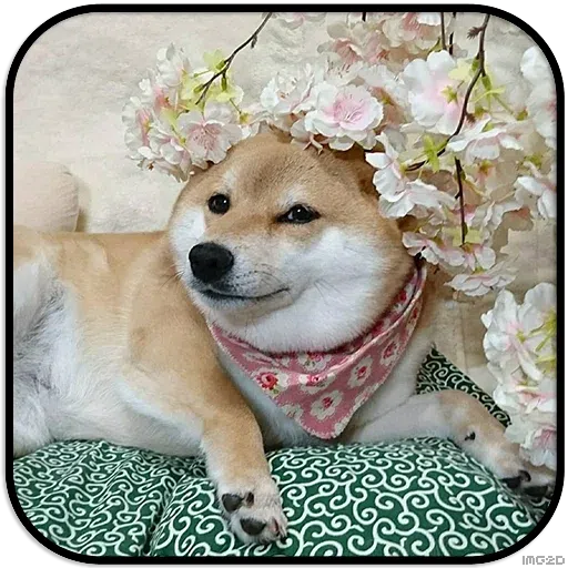 Doggo - Sticker 26