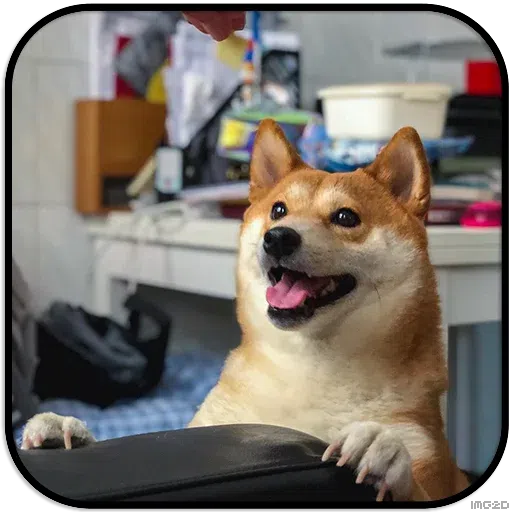 Doggo - Sticker 15