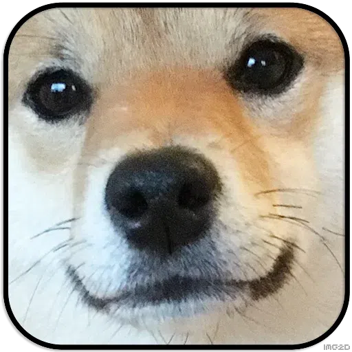 Doggo - Sticker 20