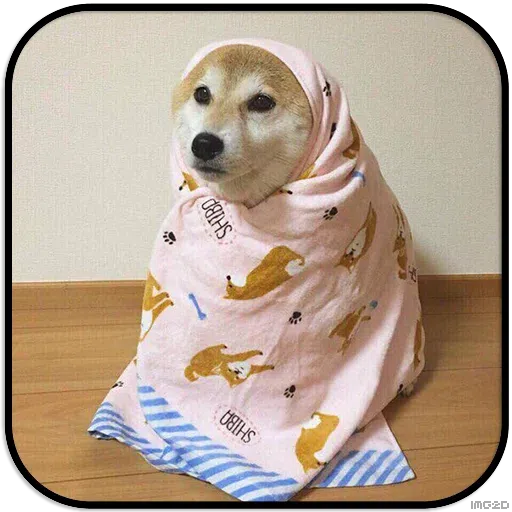 Doggo - Sticker 21