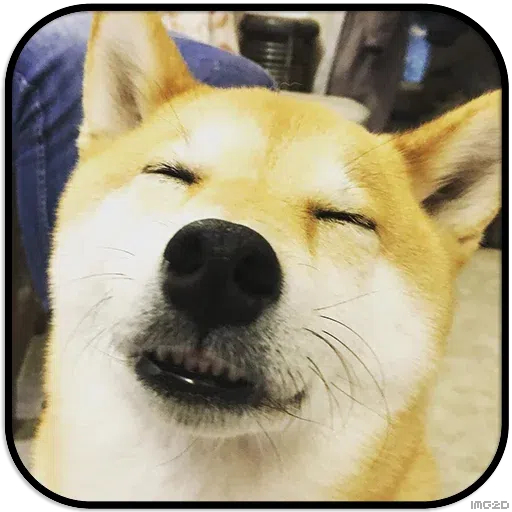 Doggo - Sticker 29