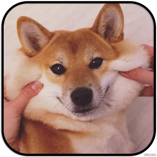Doggo - Sticker 16