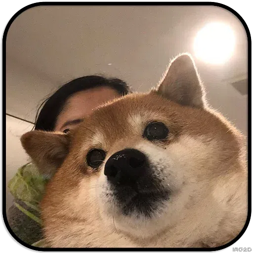 Doggo - Sticker 30