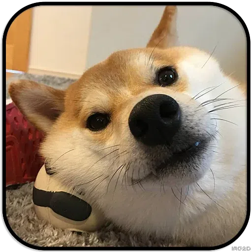 Doggo - Sticker 17