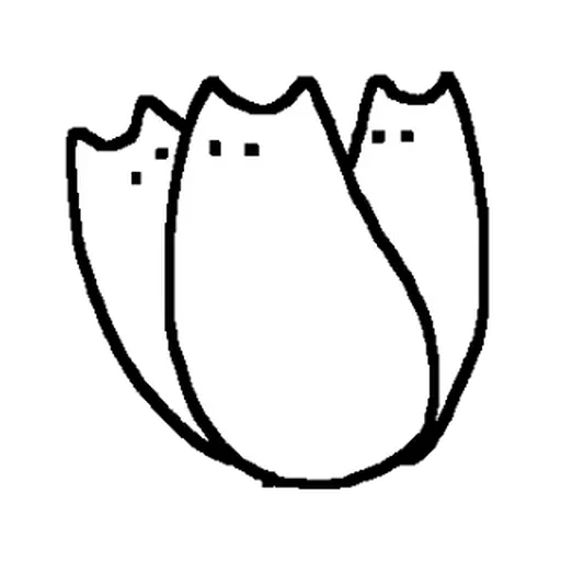 weird_cat - Sticker 28