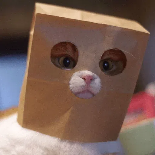Cat memes - Sticker 11