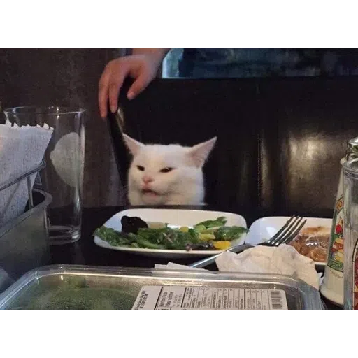 Cat memes - Sticker 9