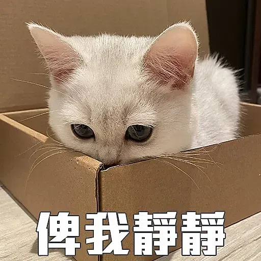 Cat memes - Sticker 14