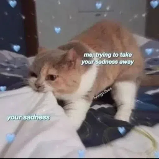 memes - Sticker 13