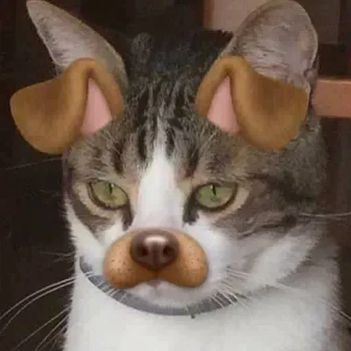 AnimalPack - Sticker 21