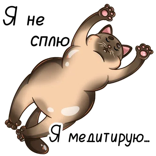 Yoga Cats - Sticker 9