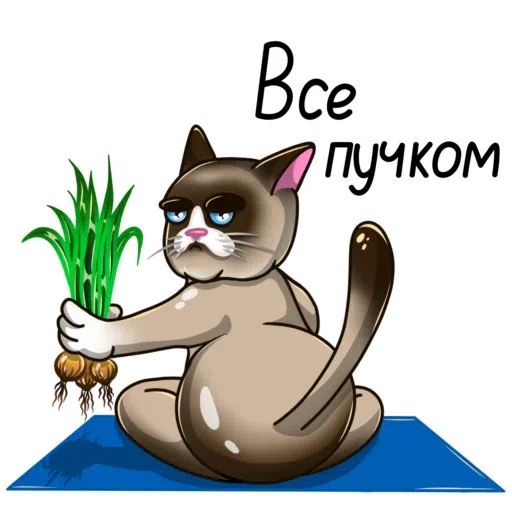 Yoga Cats - Sticker 13