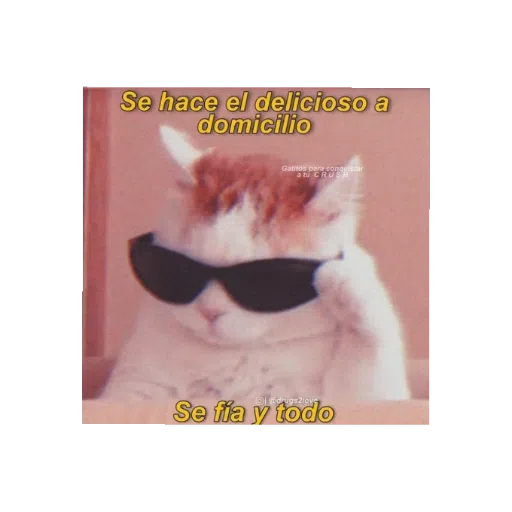 variadito III - Sticker 9