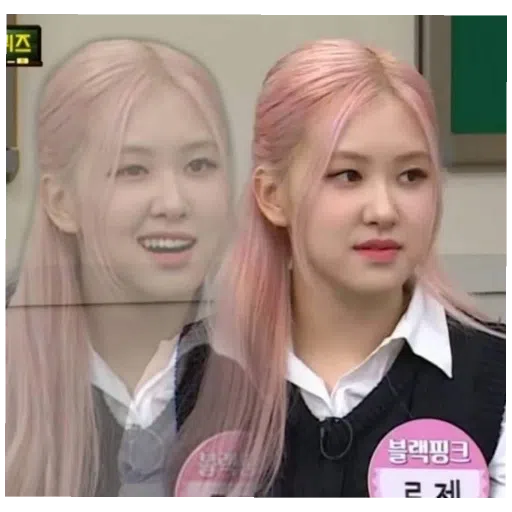 BlackPinkuuuu - Sticker 15