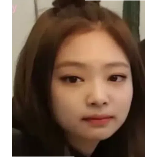 BlackPinkuuuu - Sticker 12