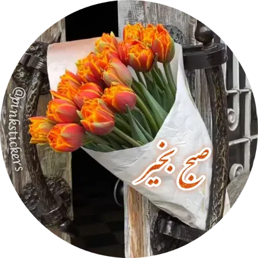 Adf - Sticker 12