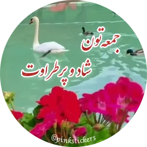 Adf - Sticker 19