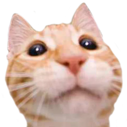 Yiyuy - Sticker 21