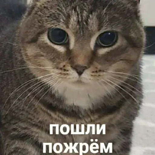 Помойка - Sticker 18