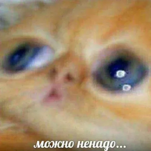Помойка - Sticker 14