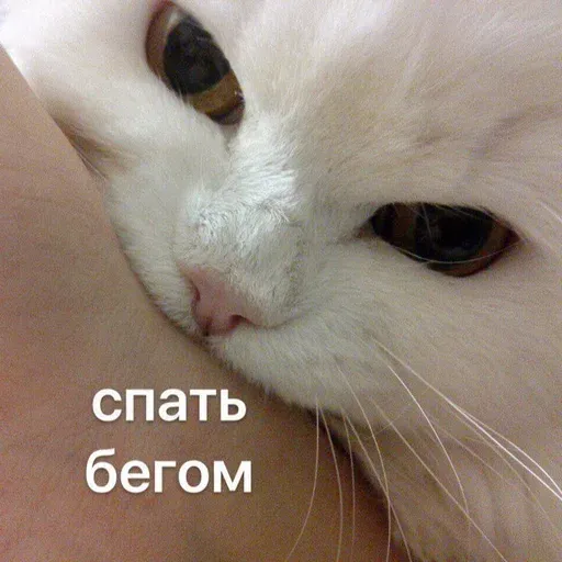Помойка - Sticker 25