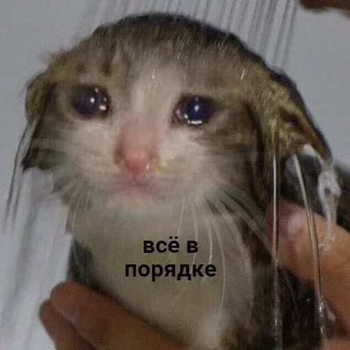 Помойка - Sticker 9