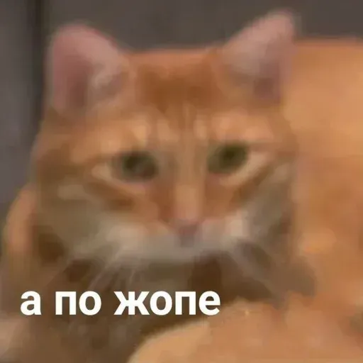 Помойка - Sticker 24