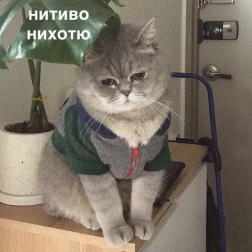 Помойка - Sticker 20