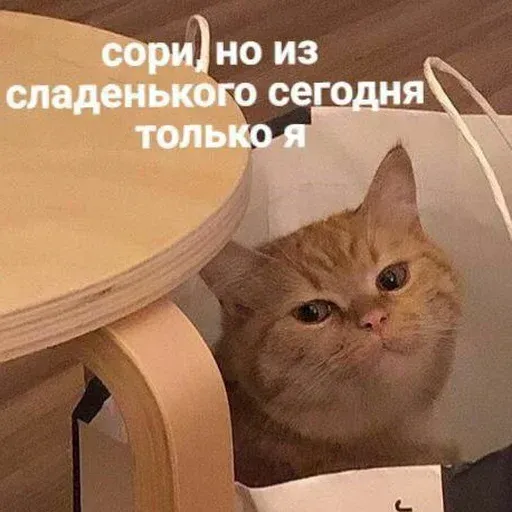 Помойка - Sticker 21
