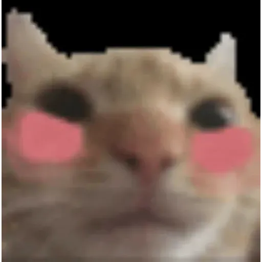 funne cat 4 - Sticker 9