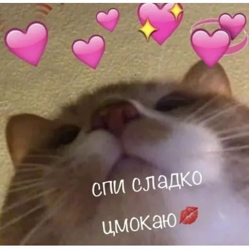 Bitmk - Sticker 11